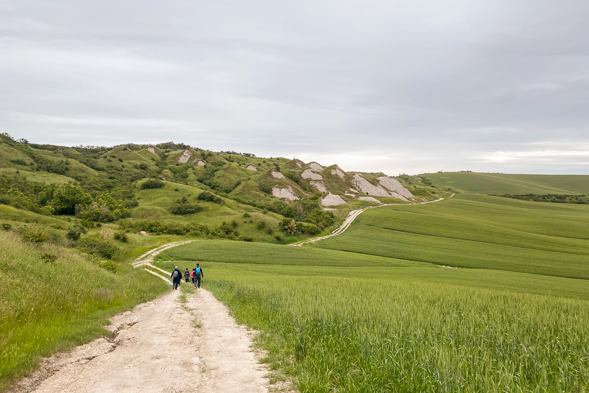 Fitness Tuscany - forest bathing